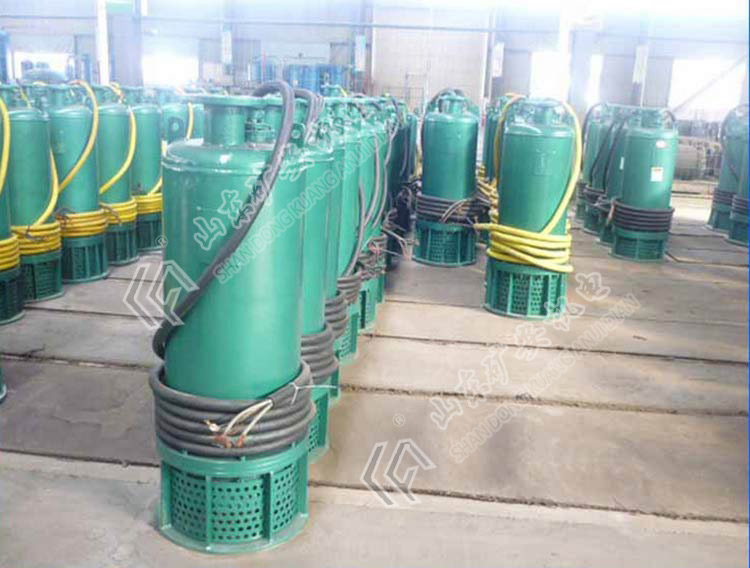 潛水排沙電泵結(jié)構(gòu)特點