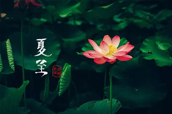 夏至|愿所有期許，如約而至